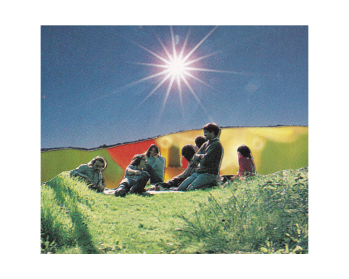 christian le surf album cover, 'the true comment'