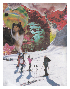 skiing collage
